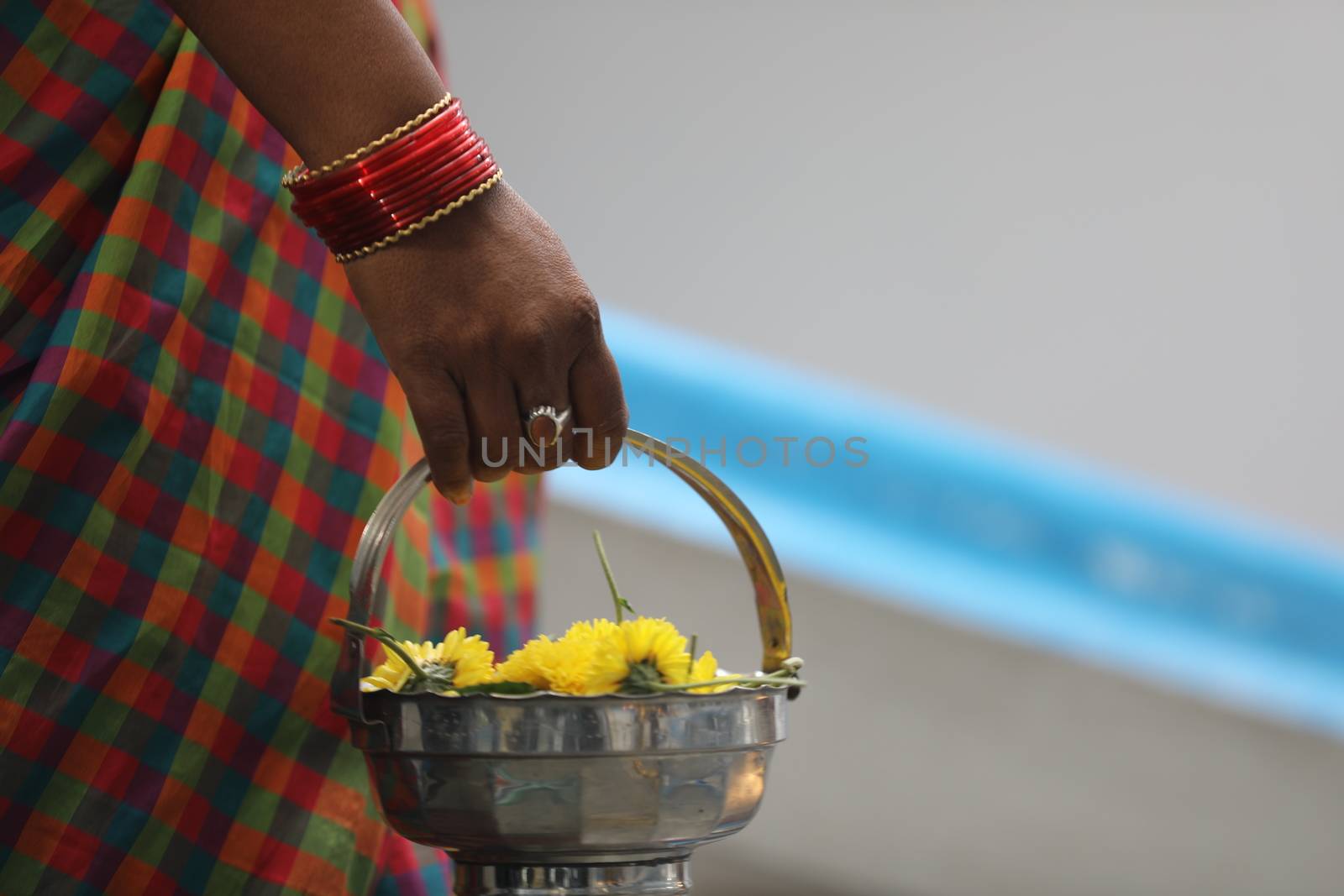 Indian Female in a Traditional Dress