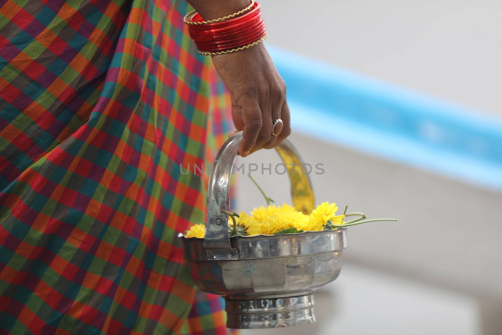 Indian Female in a Traditional Dress