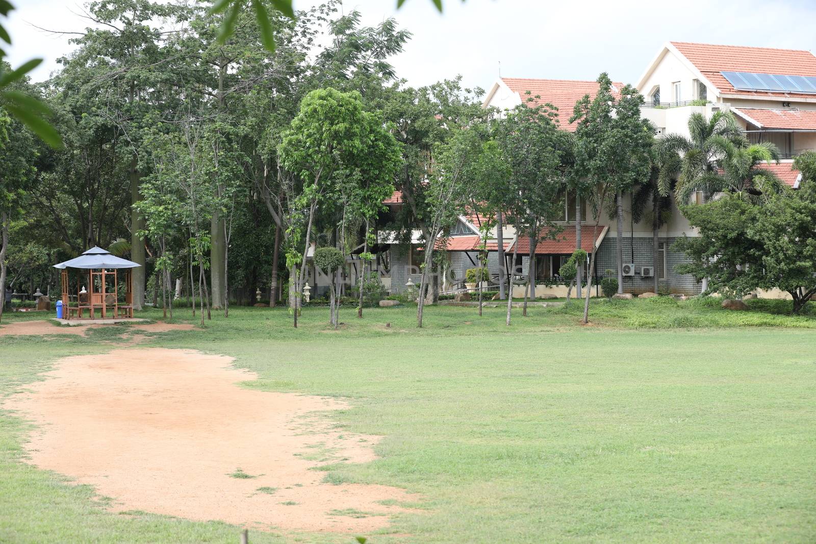 People in a park