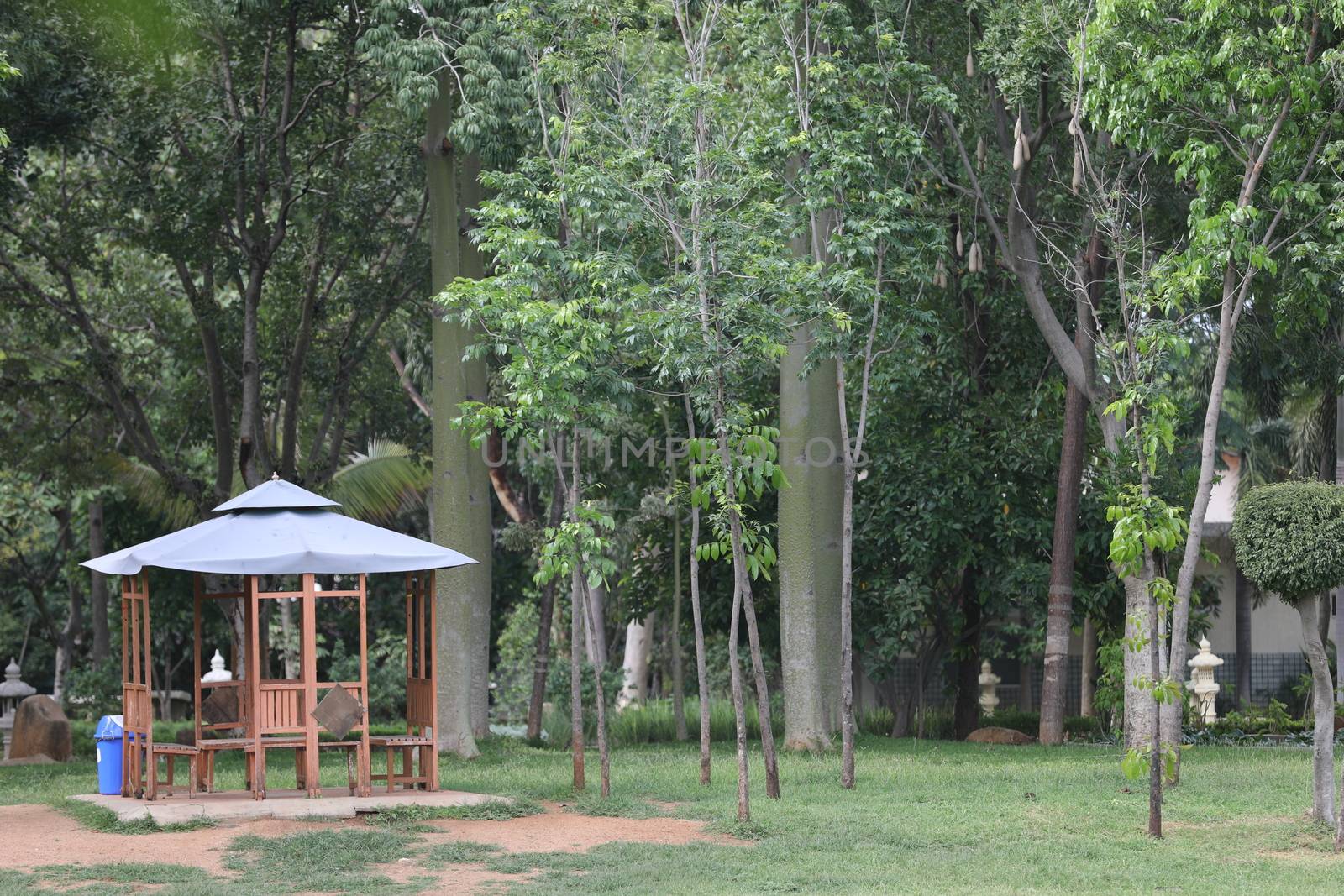 People in a park
