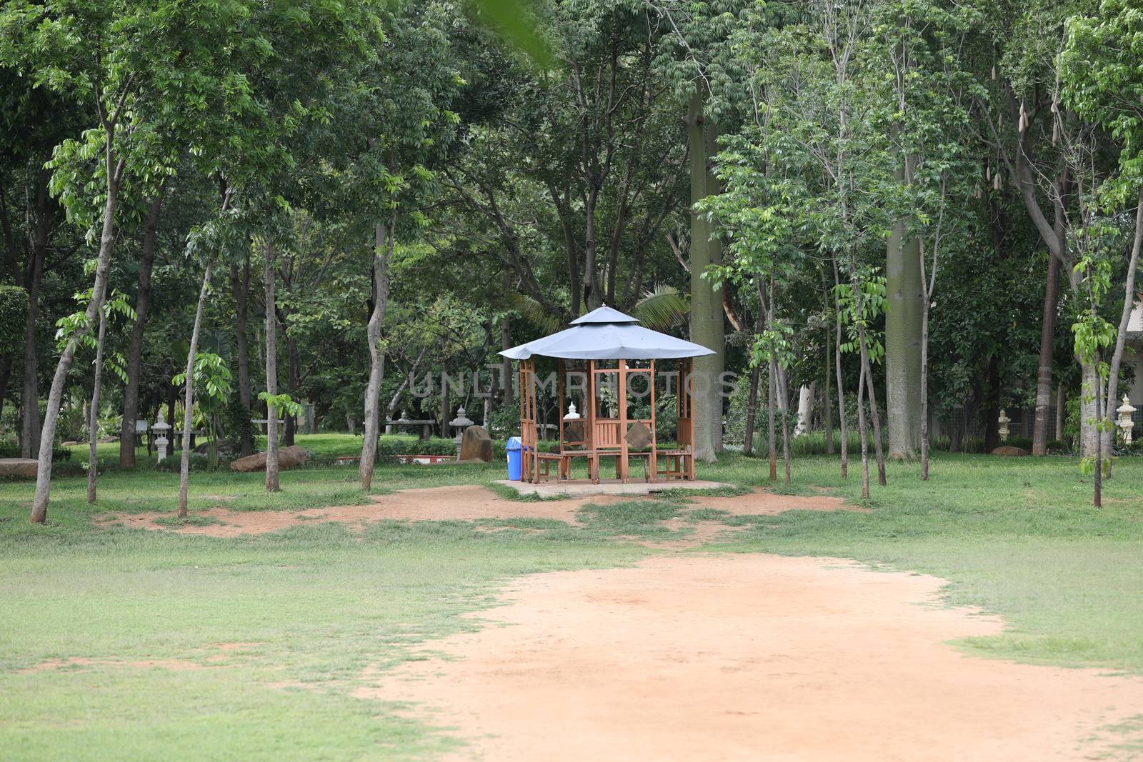 People in a park