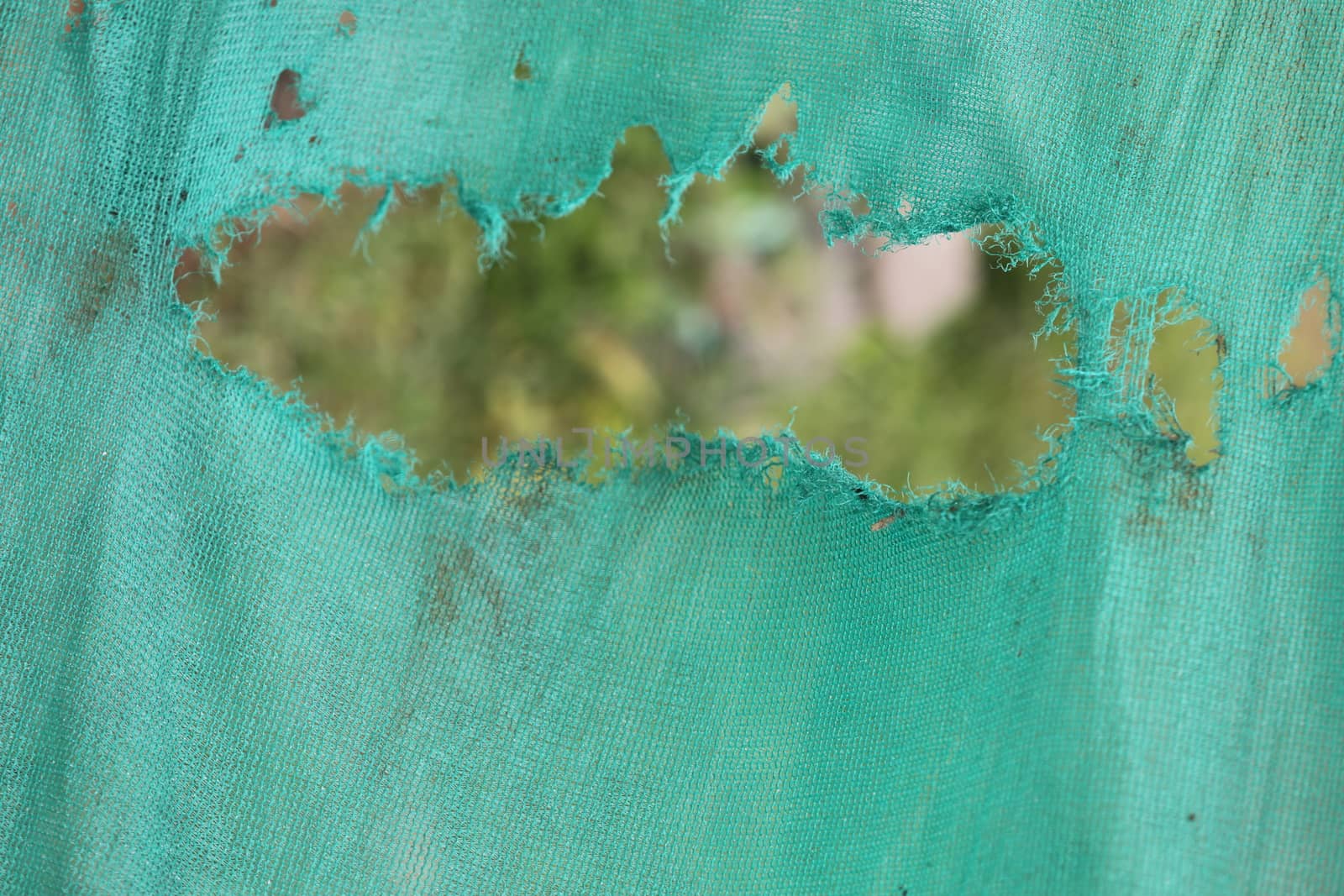 Abstract color cloth Texture
