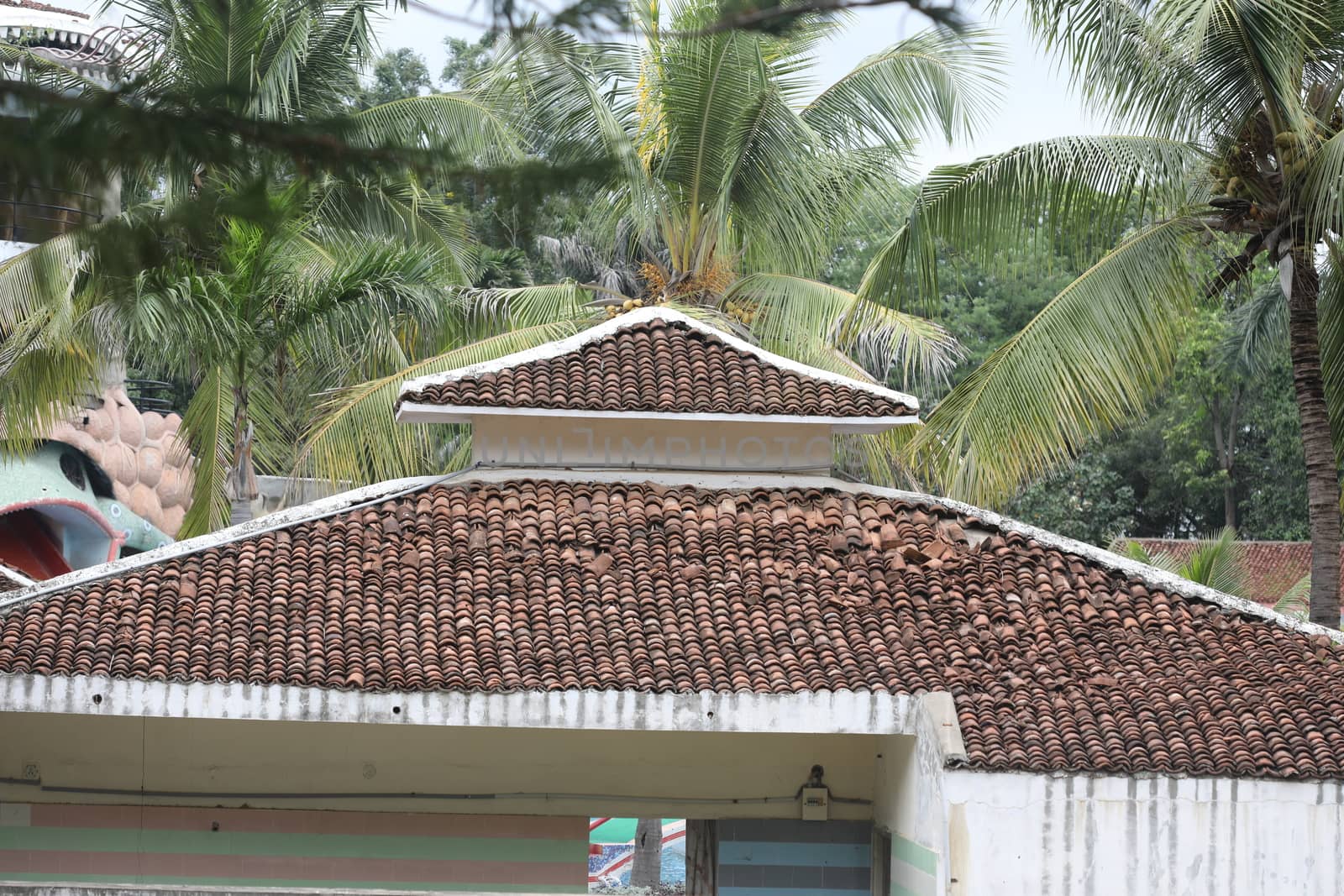 Indian Rural Art work