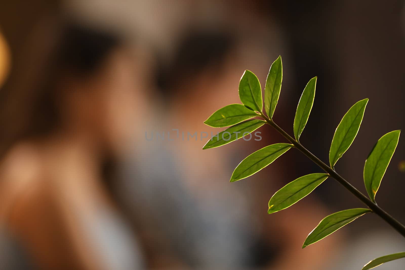 Indian Medicated Plants