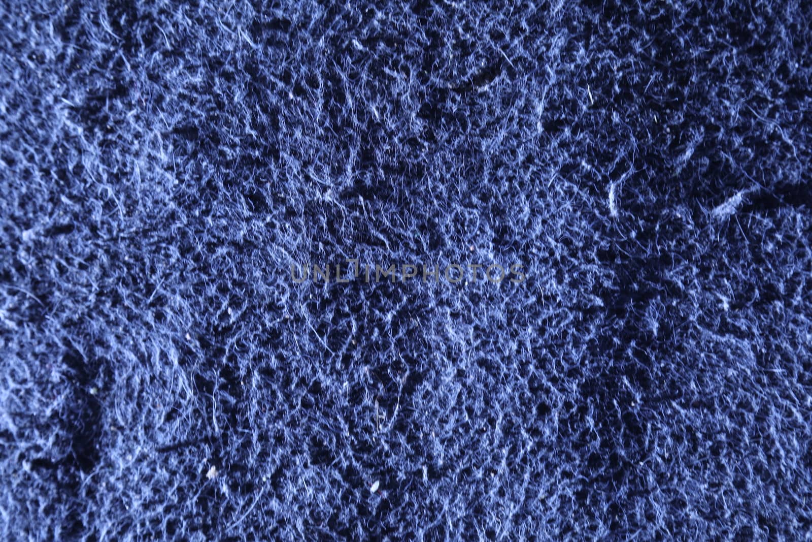 Carpet Macro shot