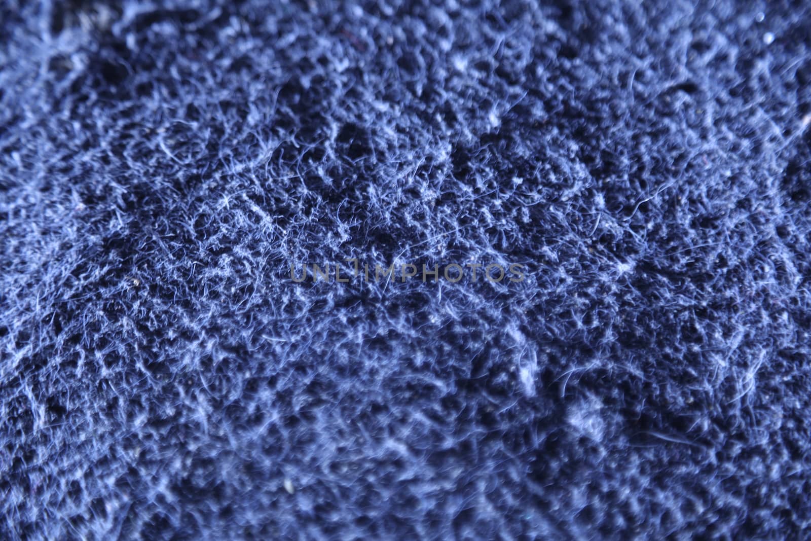 Carpet Macro shot