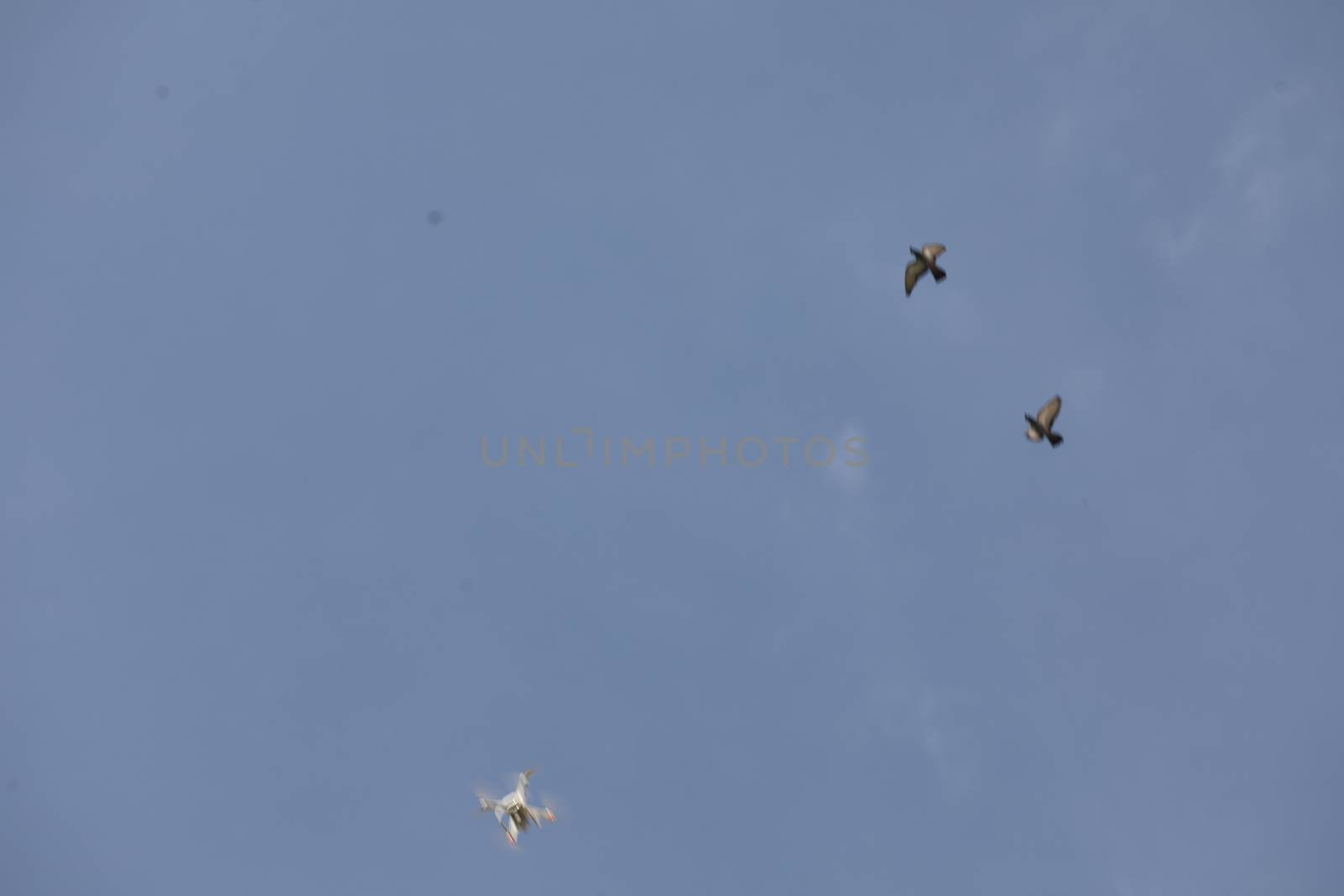 Aerial drone with an action camera