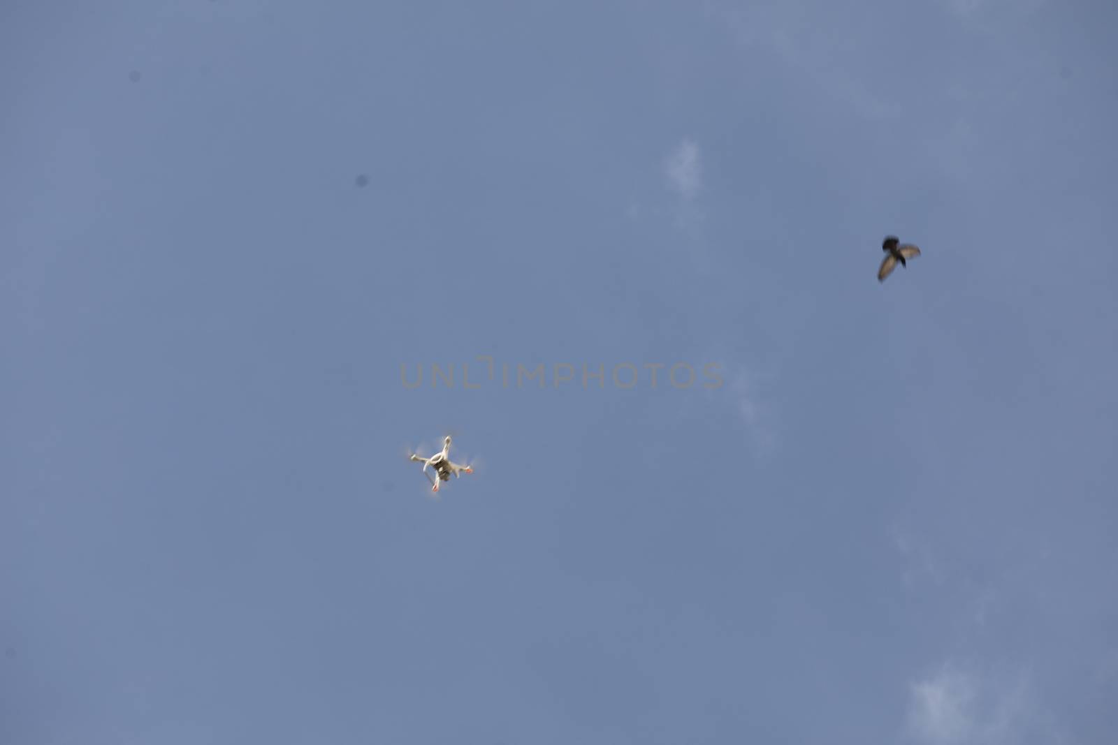 Aerial drone with an action camera