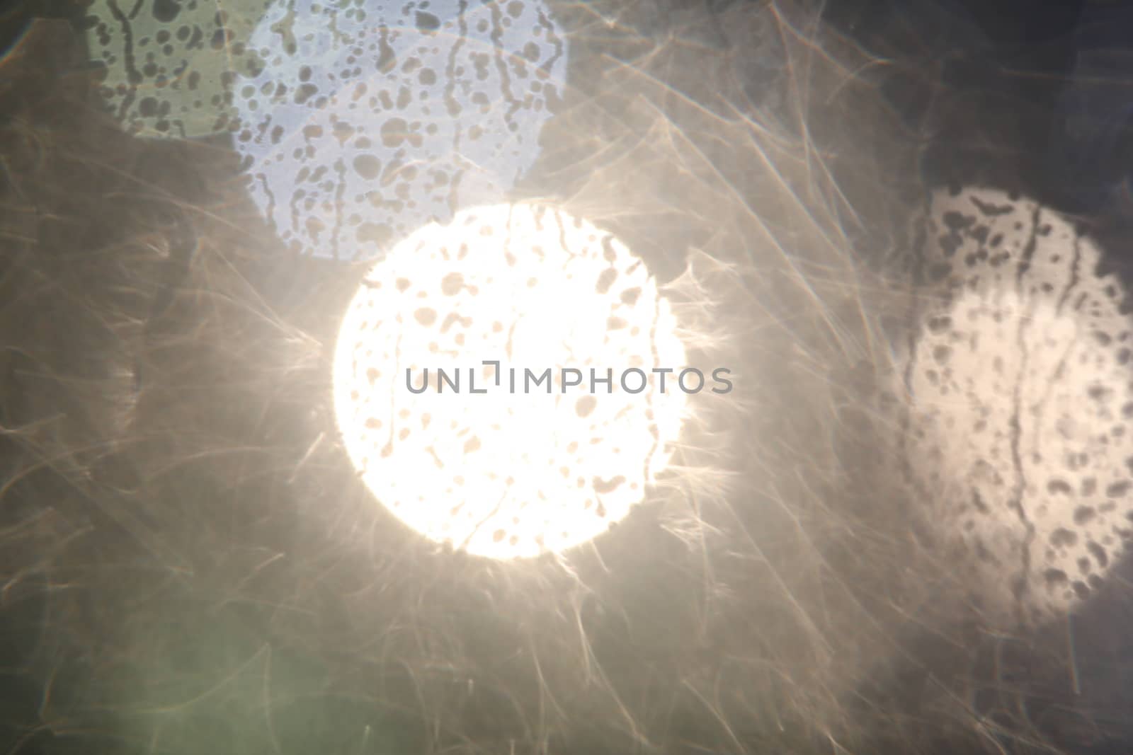 Abstract Blur Water Texture