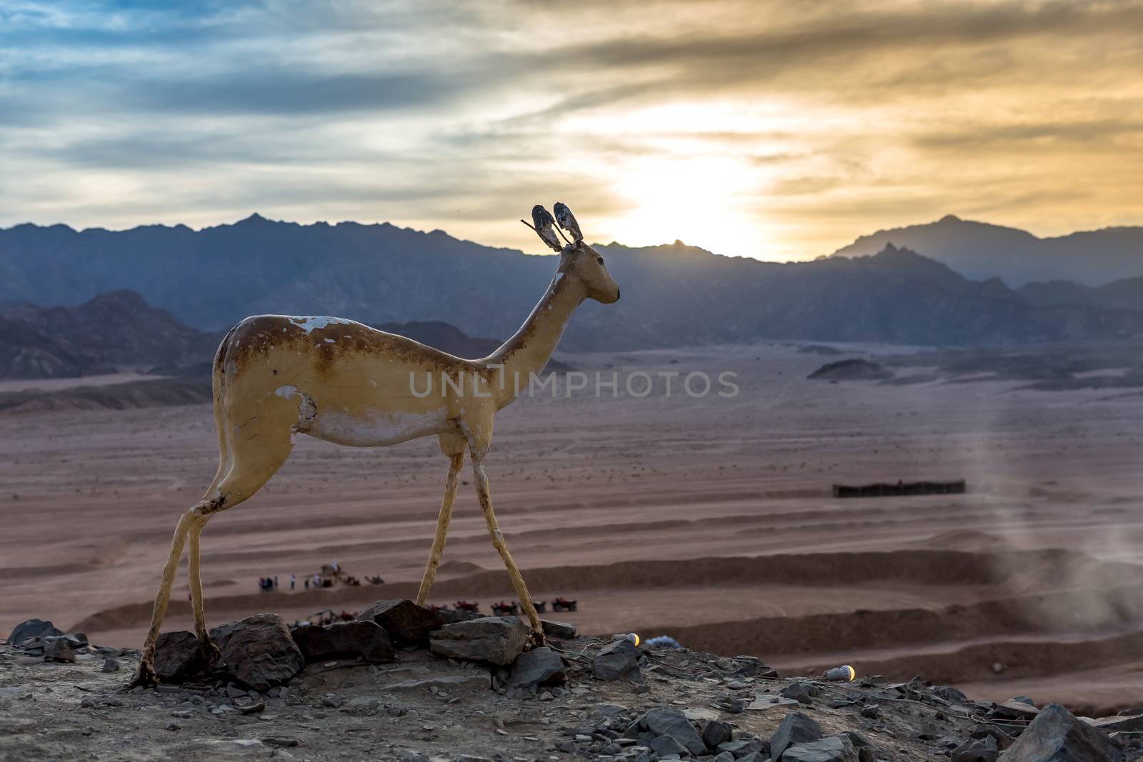 Ras Mohamed National Park in Egypt. by SeuMelhorClick