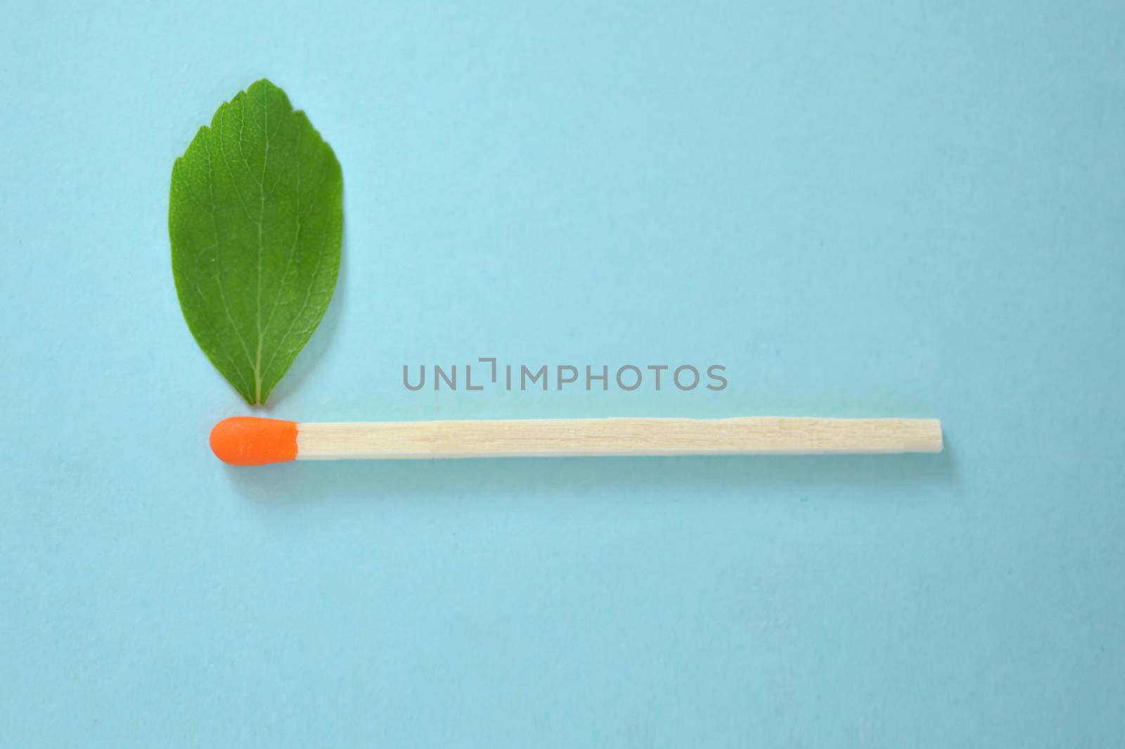 Match with green leaf like a flame  by mady70