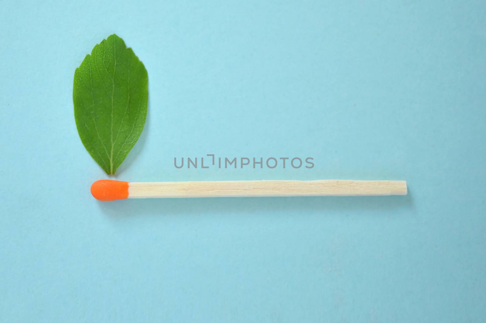 Conceptual Match with green leaf like a flame 