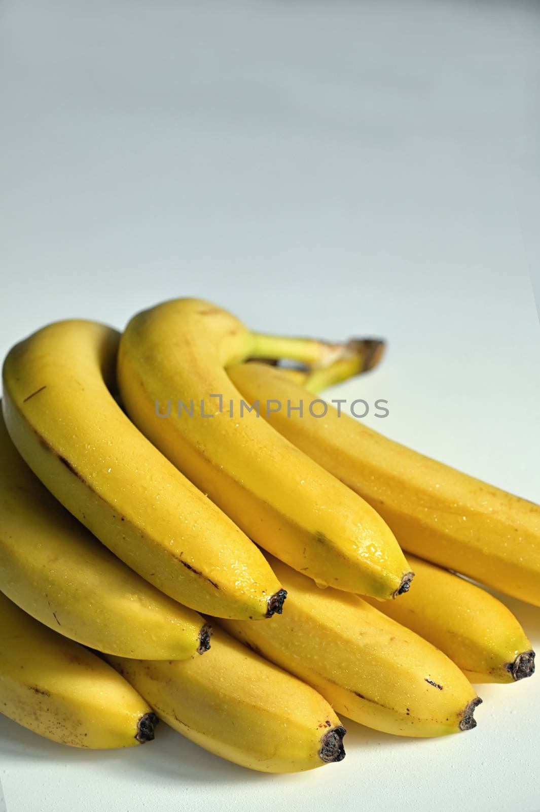 Bunch of raw ripe organic yellow bananas