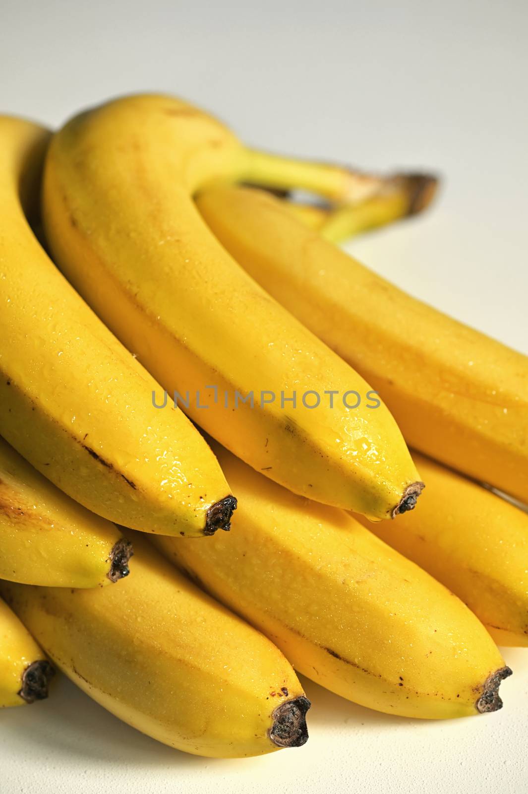 Bunch of raw ripe yellow bananas by mady70