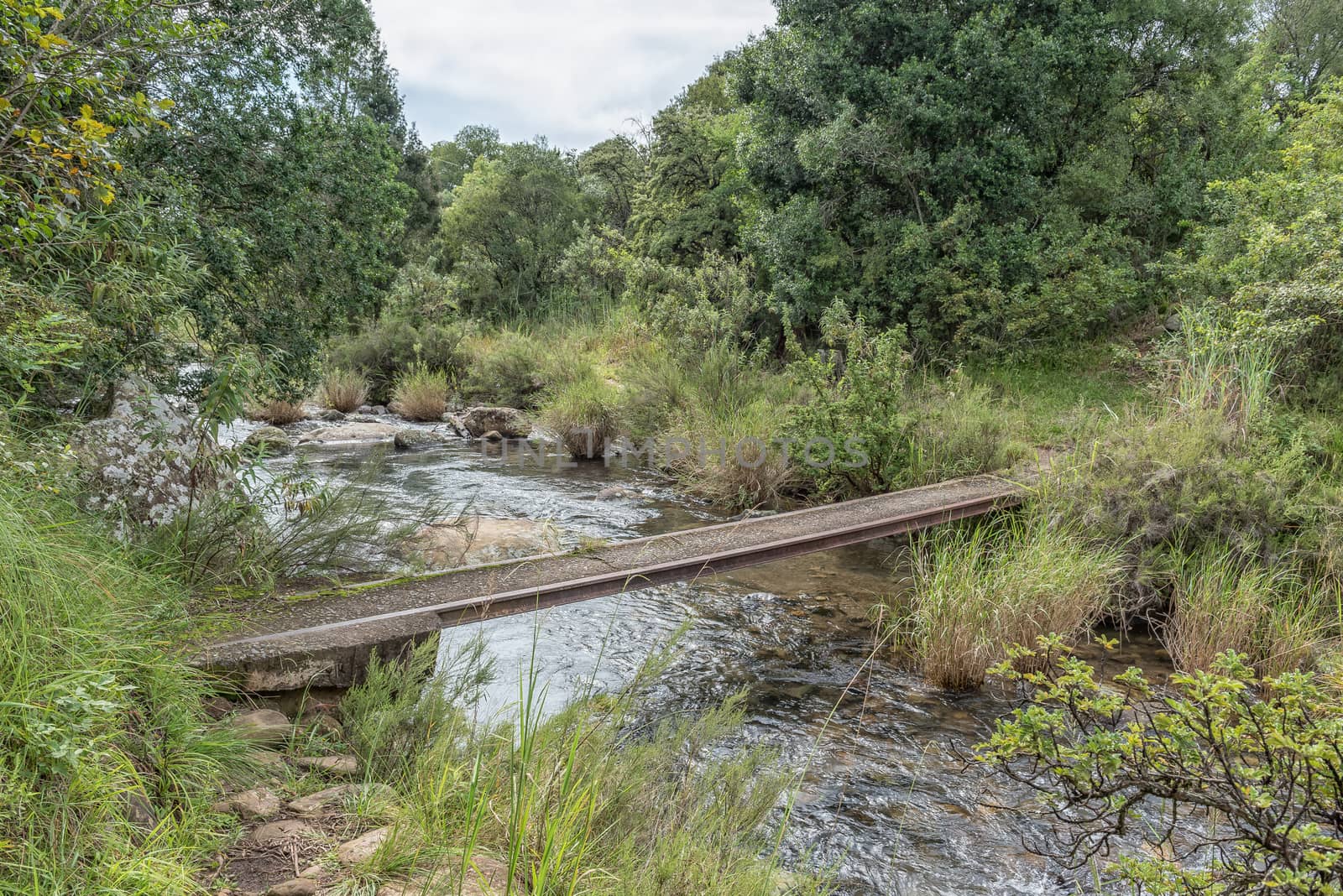 Pedestrian bridge on a hiking trail near Mahai by dpreezg