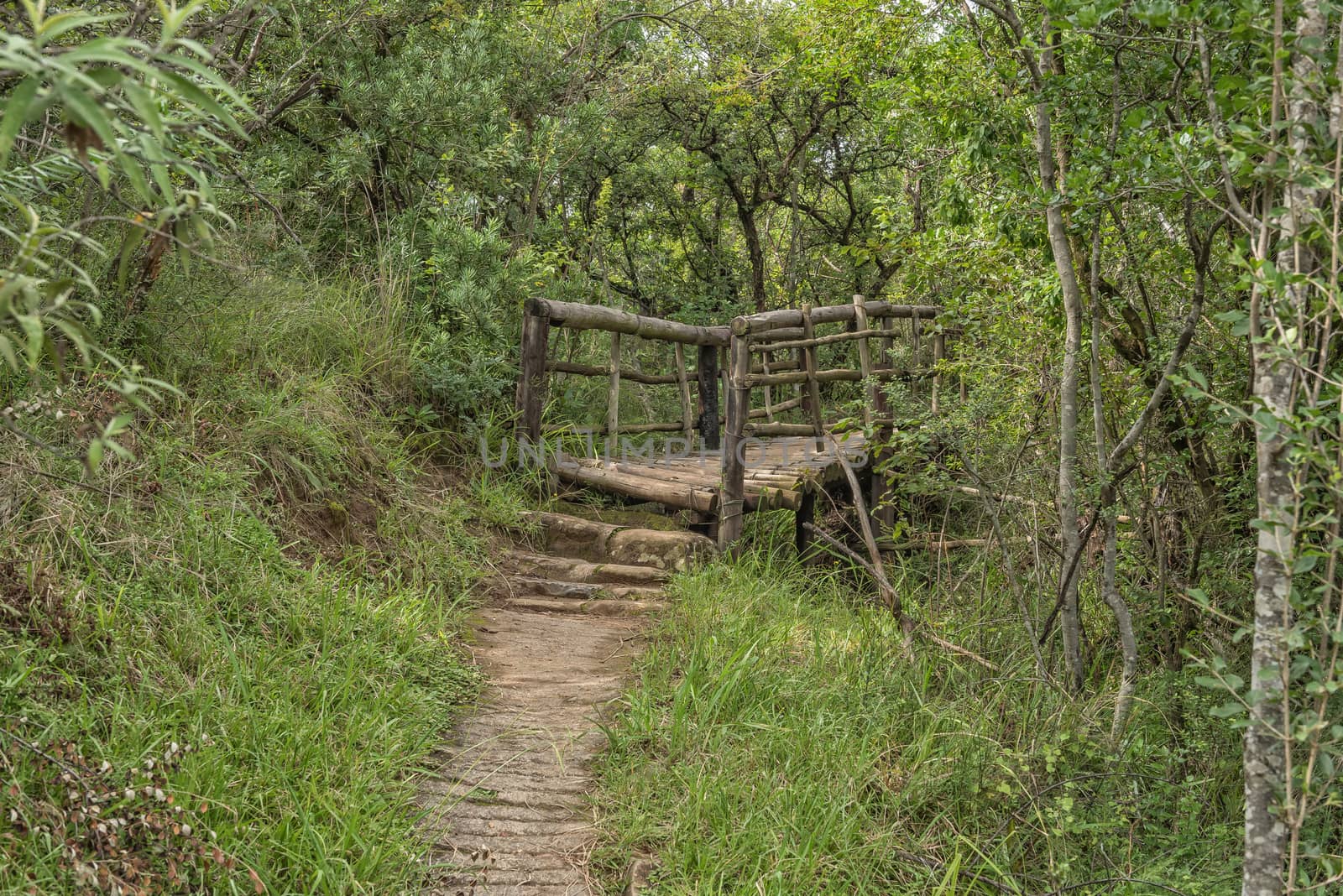 Wooden pedestrian bridge on a hiking trail near Mahai by dpreezg