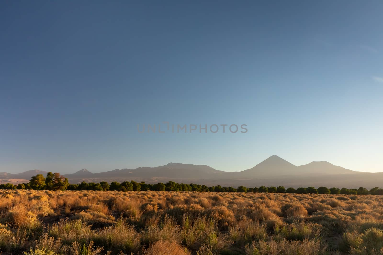 Atacama desert, Chile, Andes, South America. Beautiful view and landscape.