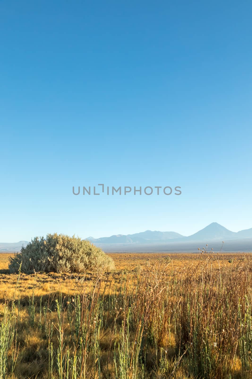 Atacama desert, Chile, Andes, South America. Beautiful view and landscape.