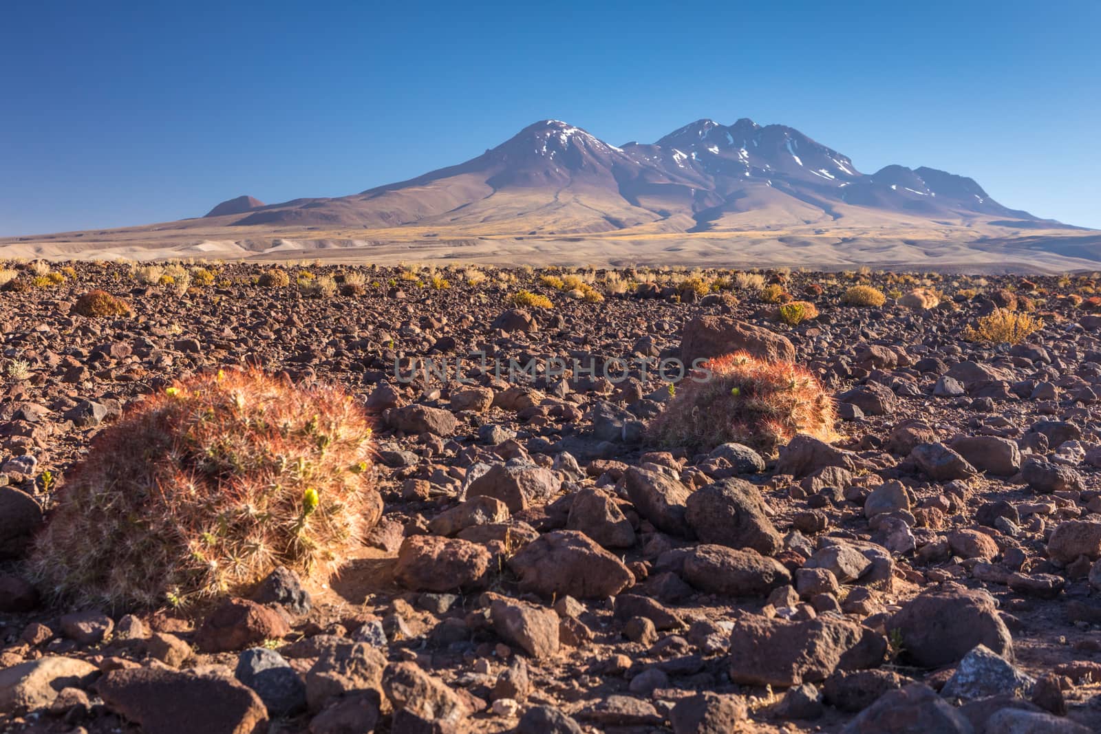 Atacama desert, Chile, Andes, South America. Beautiful view and landscape. by SeuMelhorClick