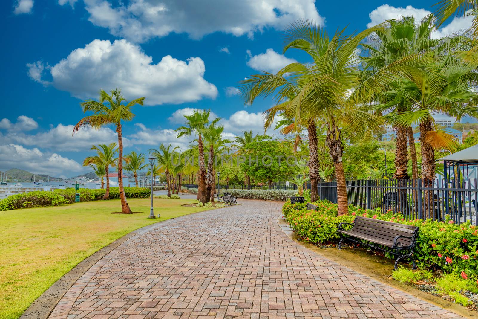 A brick walkway along the coast with palm trees and benches