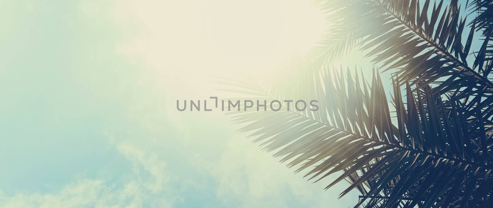Tropical palm tree leaves in hot summer day as vintage background, summer nature and travel by Anneleven