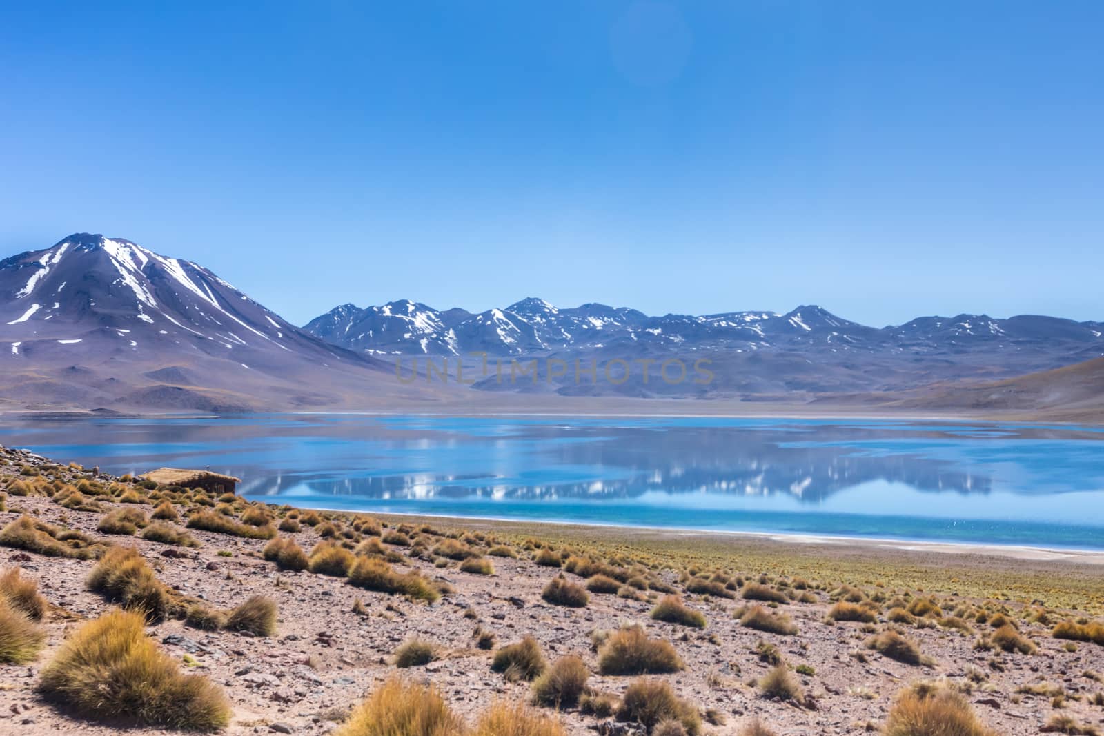 Lagunas Altiplanicas, Miscanti y Miniques, amazing view at Atacama Desert. Chile, South America.