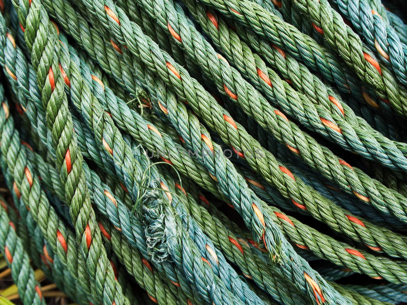 Roll of green nylon rope