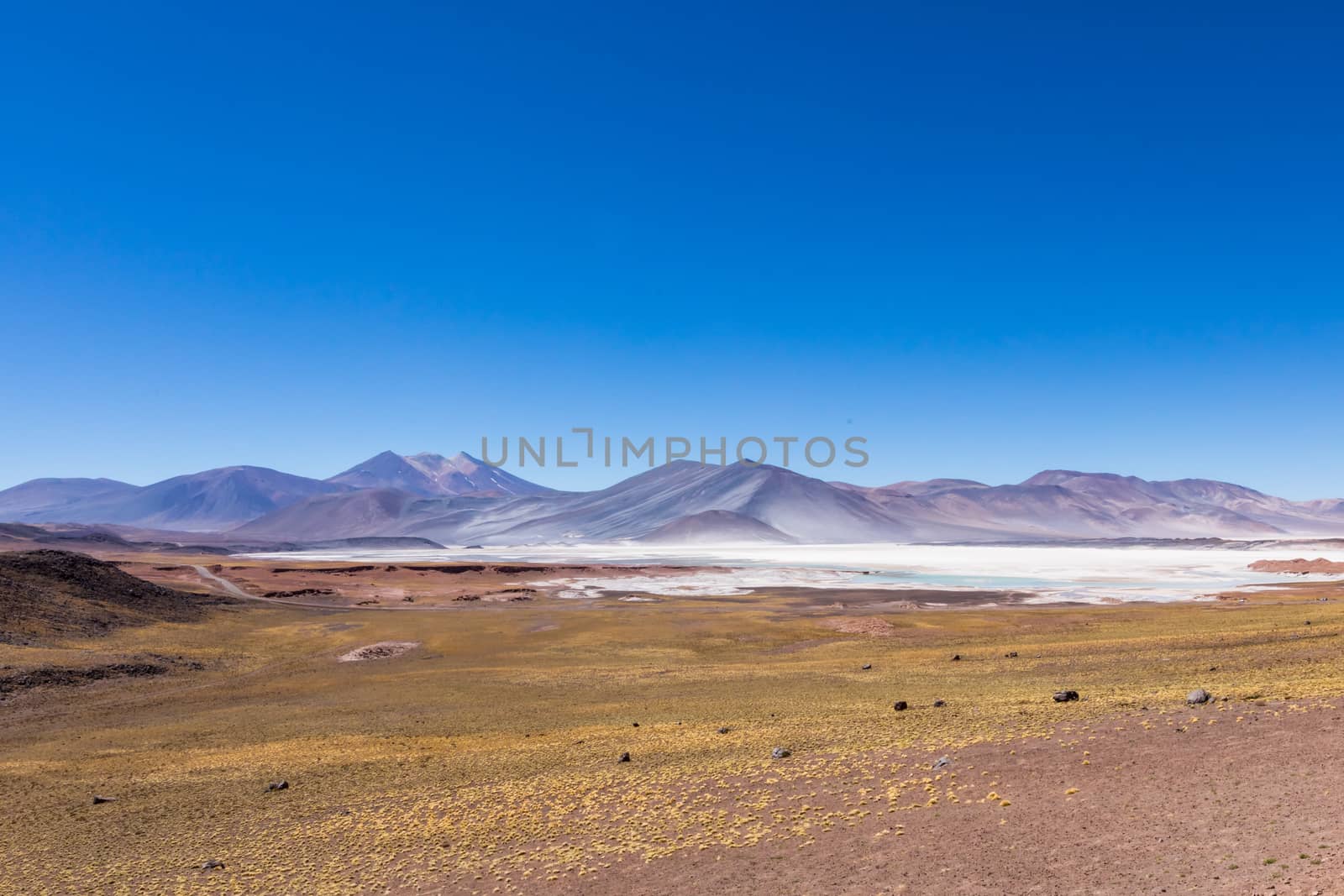 Atacama Desert, Chile. Salar Aguas Calientes. Lake Tuyacto. South America.