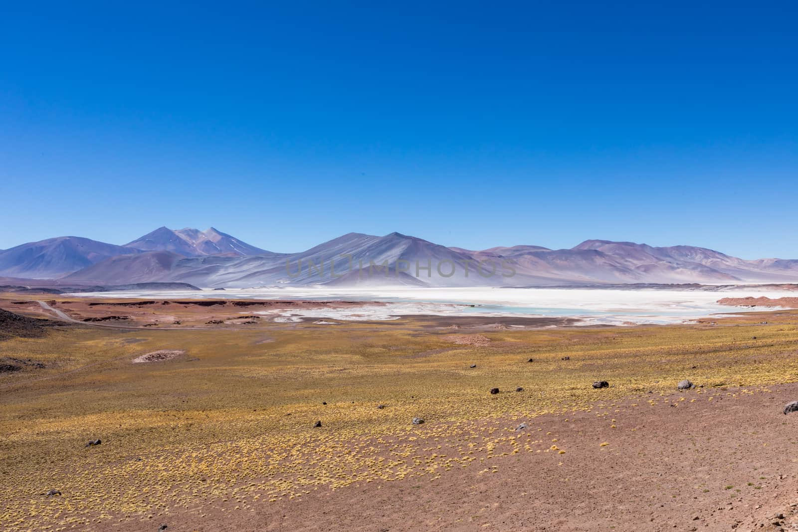 Atacama Desert, Chile. Salar Aguas Calientes. Lake Tuyacto. South America.