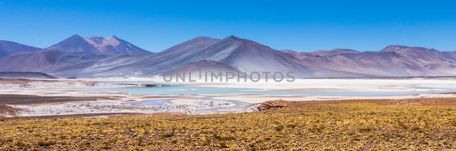 Atacama Desert, Chile. Salar Aguas Calientes. Lake Tuyacto. South America.