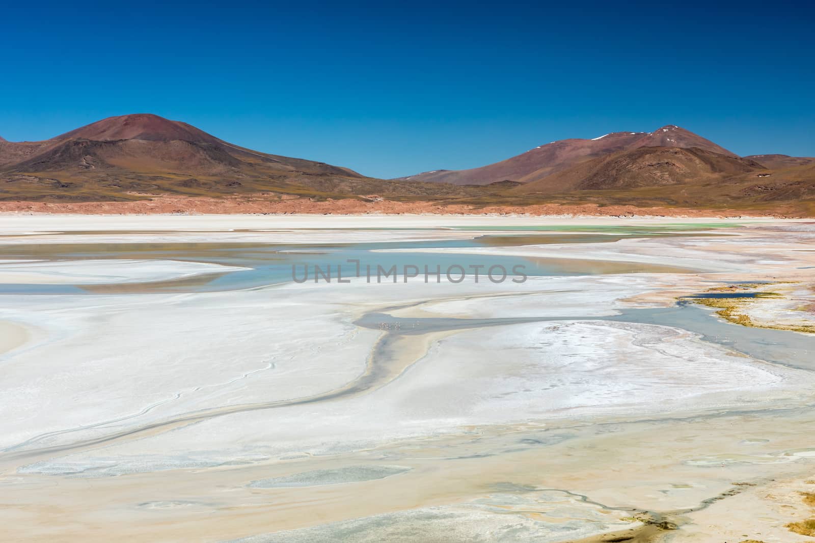 Atacama Desert, Chile. Salar Aguas Calientes. Lake Tuyacto. South America.