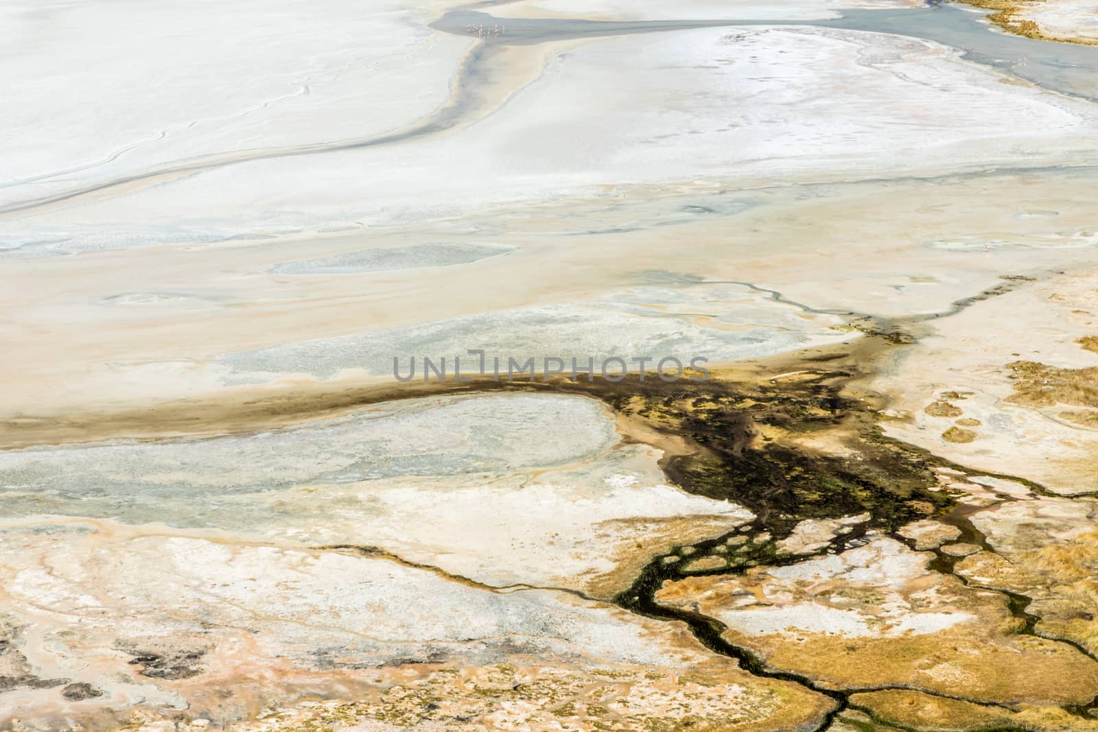 Atacama Desert, Chile. Salar Aguas Calientes. Lake Tuyacto. South America.