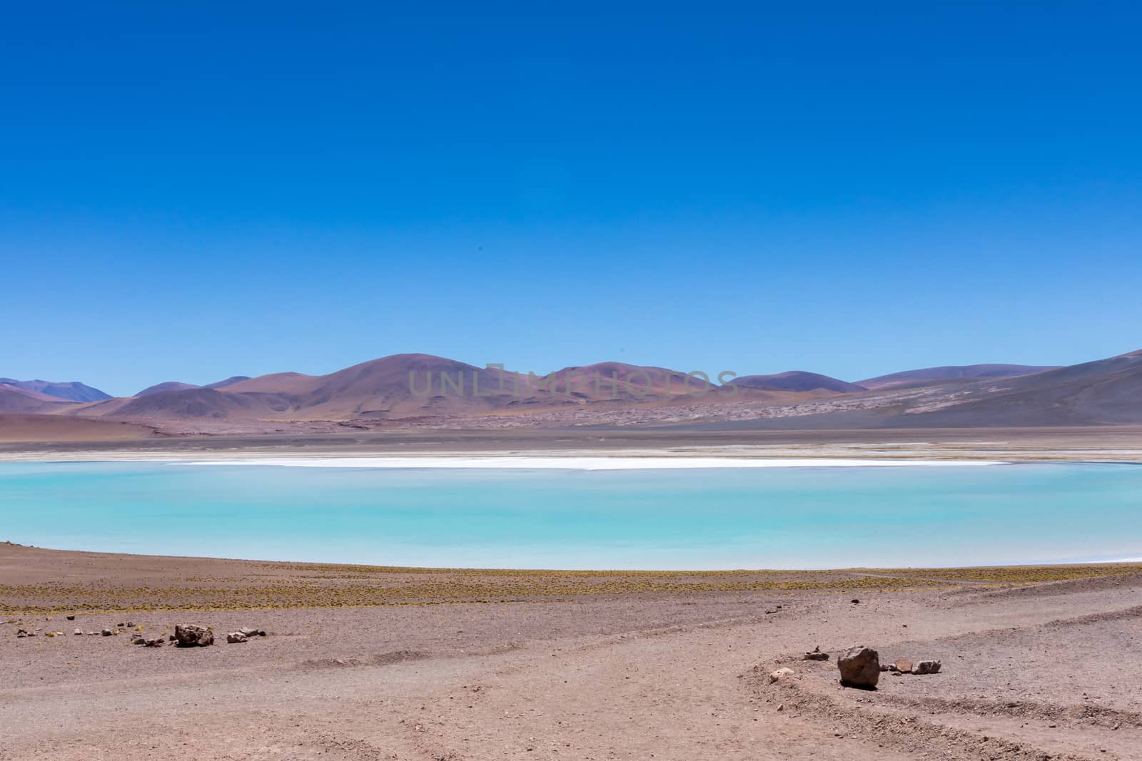 Atacama Desert, Chile. Salar Aguas Calientes. Lake Tuyacto. South America.