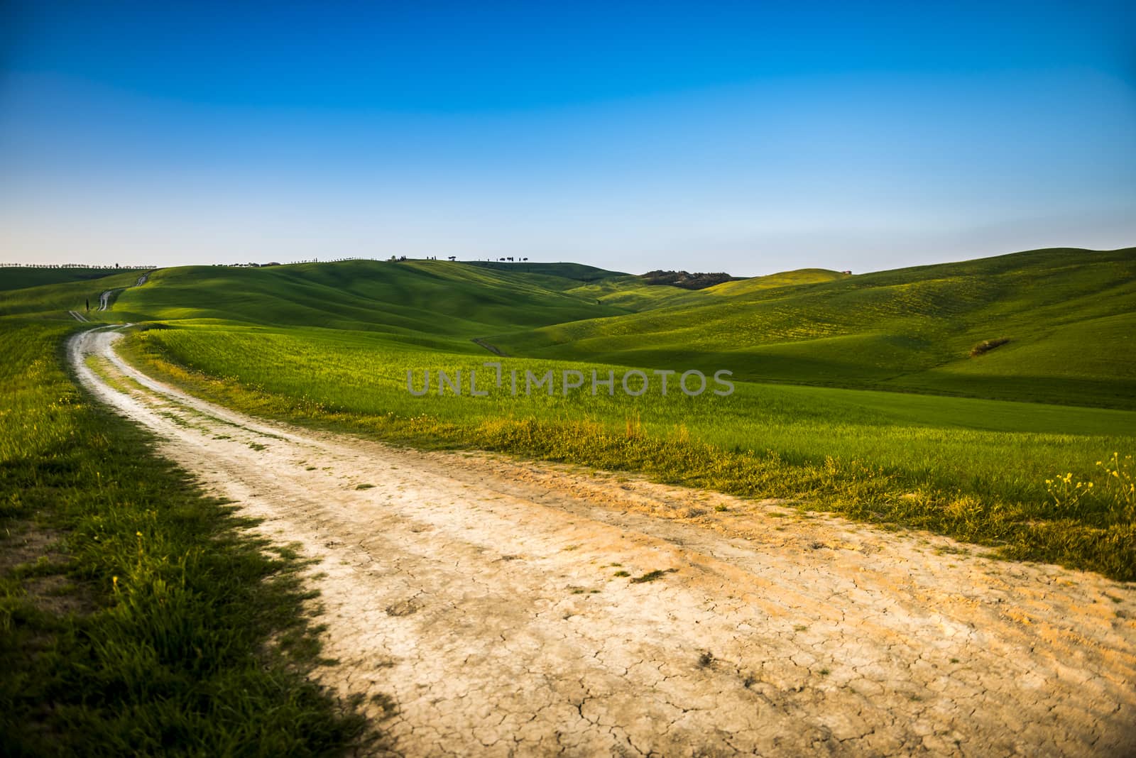 sunset in the Tuscany Hills by vinciber