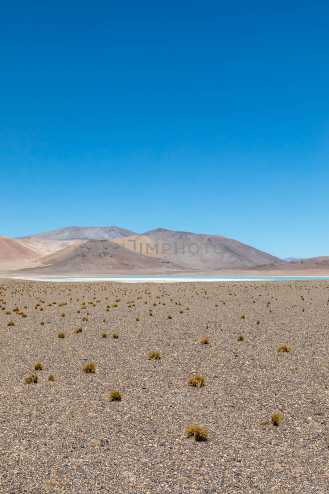 Atacama Desert, Chile. Salar Aguas Calientes. Lake Tuyacto. South America.