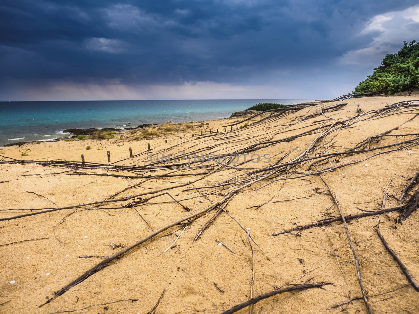 A storm is coming along the beach.