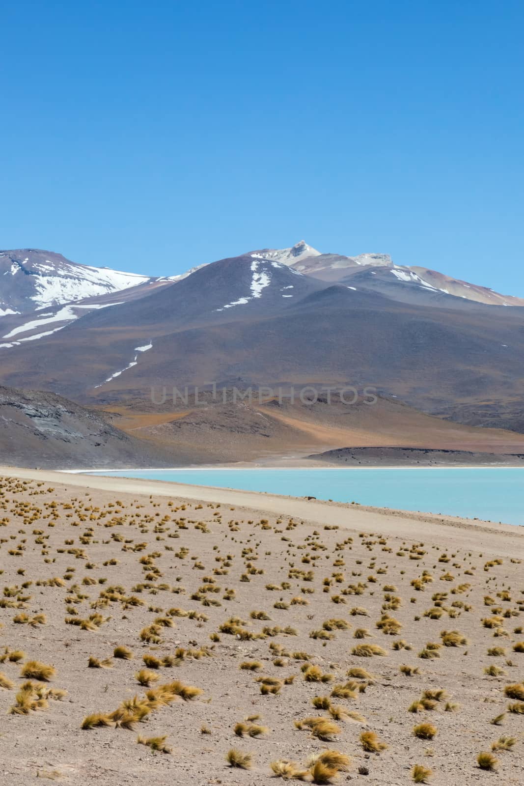 Atacama Desert, Chile. Salar Aguas Calientes. Lake Tuyacto. South America.