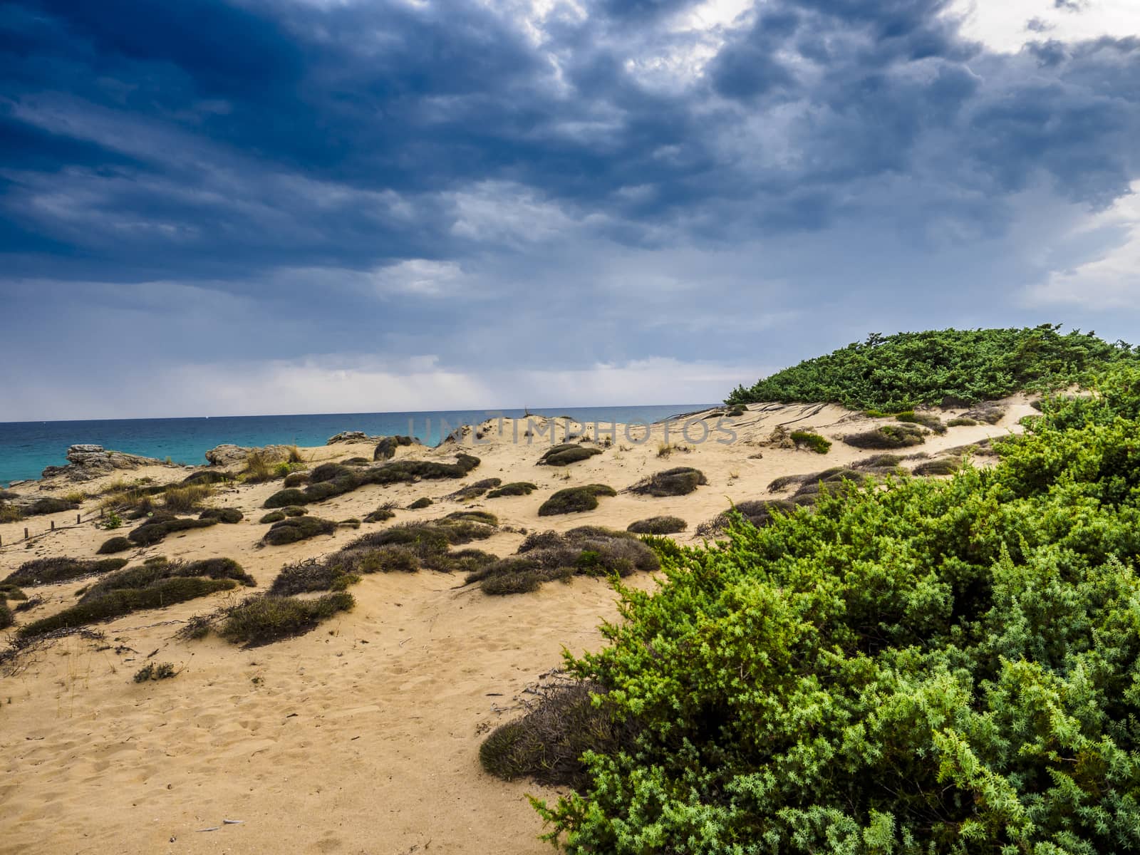 A storm is coming along the beach.