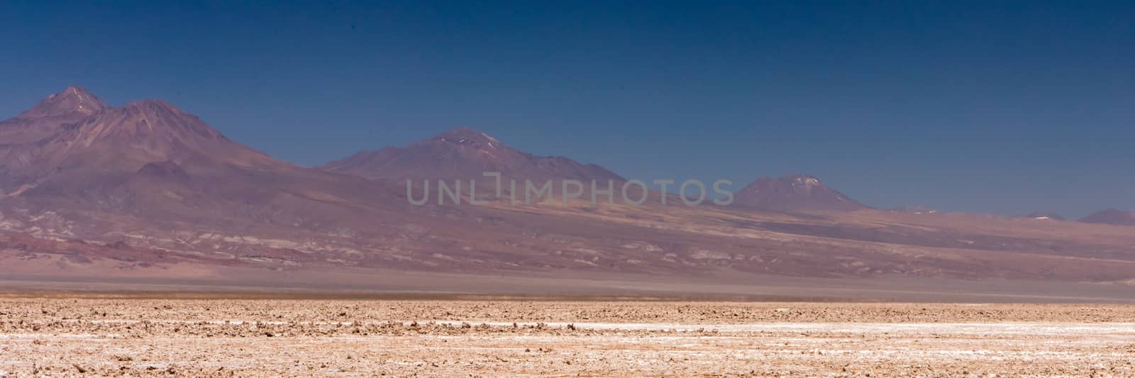 Laguna Chaxa, Atacama Desert, Chile. South America.