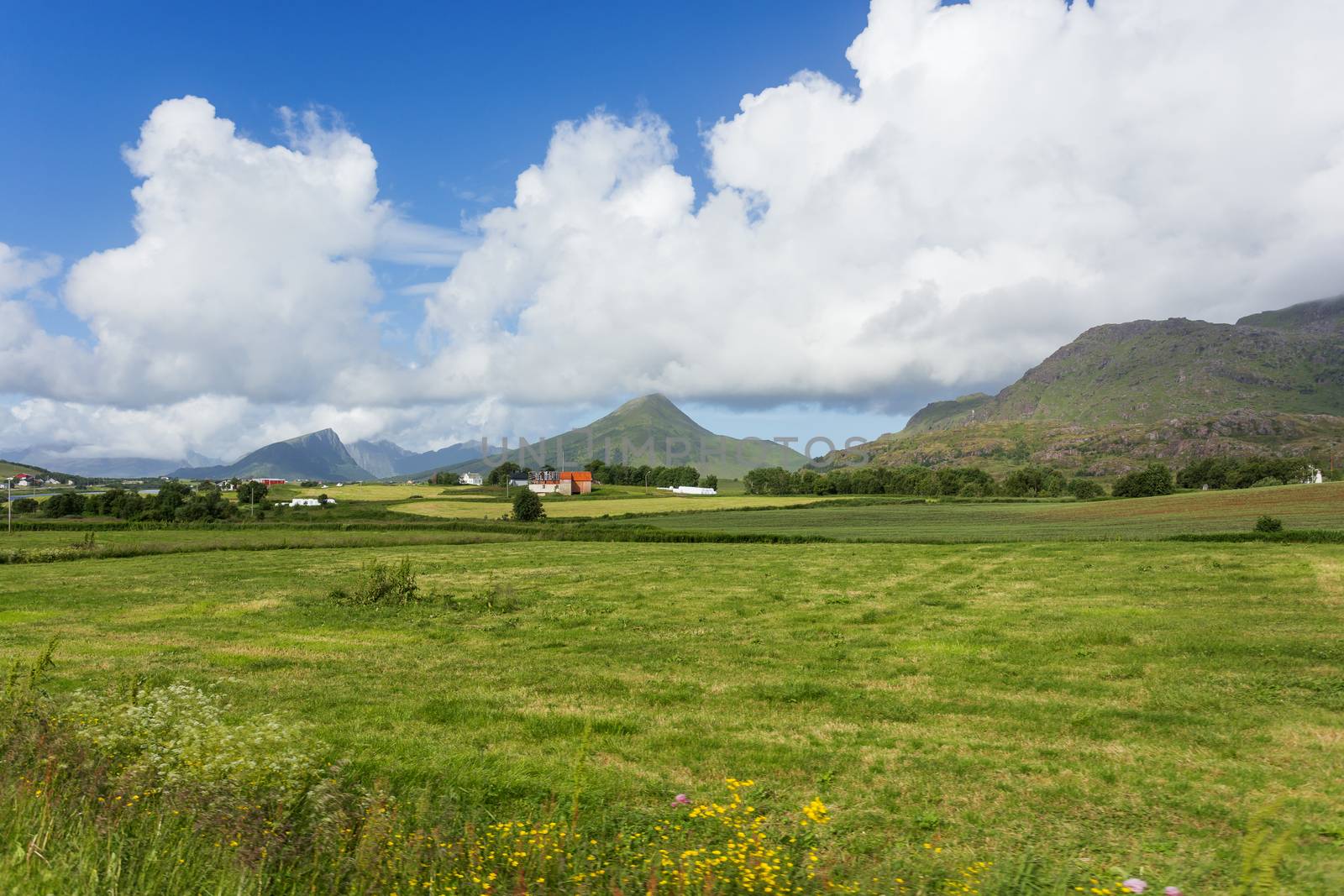 Typical scandinavian landscape with meadows, mountains and village. Lofoten islands, Norway.