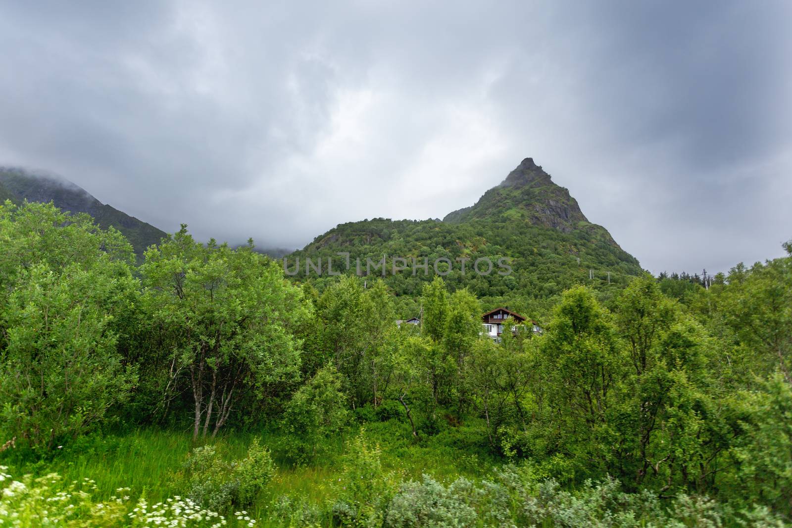 Beautifull scandinavian landscape with meadows and mountains. Lofoten islands, Norway.