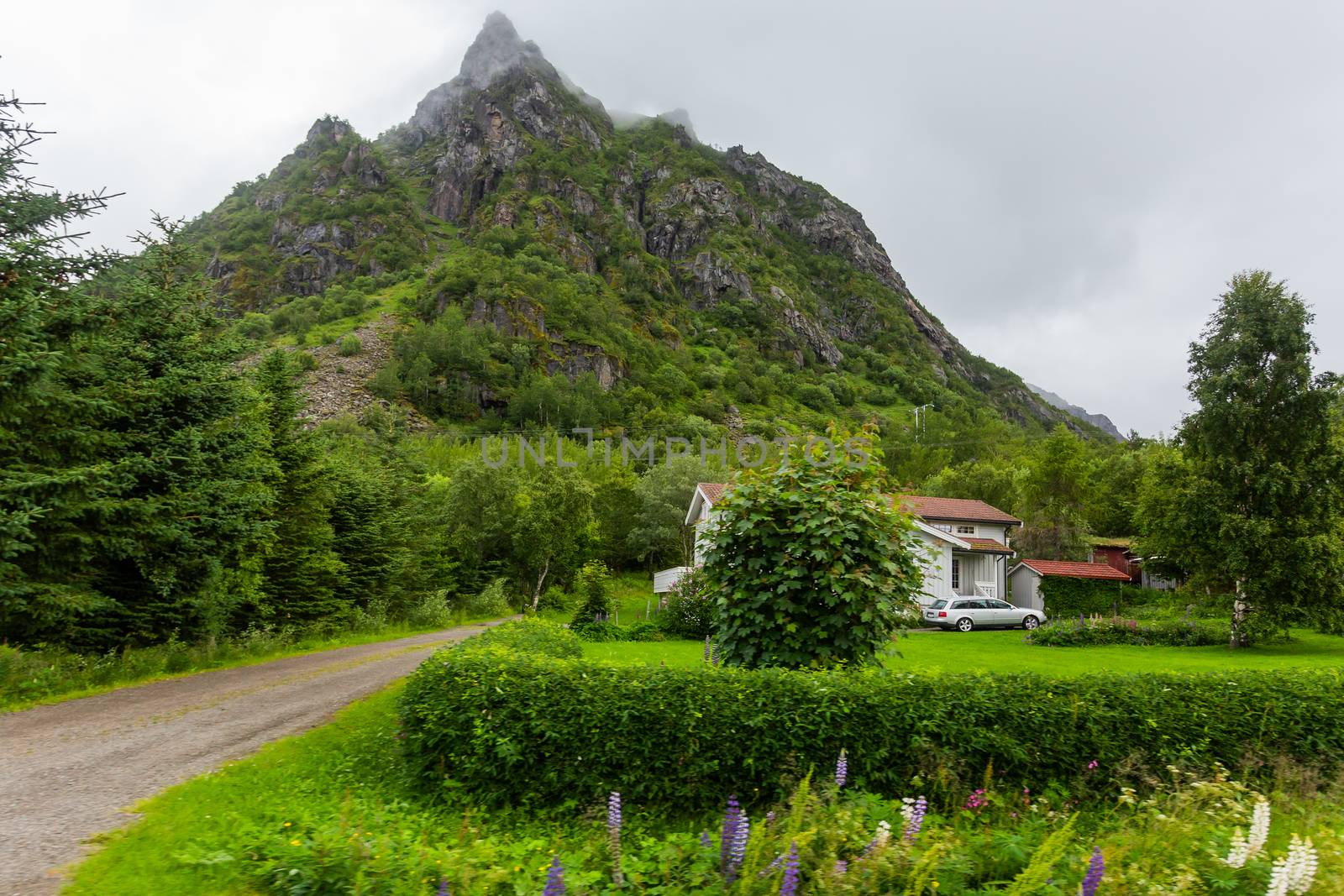 Beautifull scandinavian landscape with meadows, mountains and village. Lofoten islands, Norway.