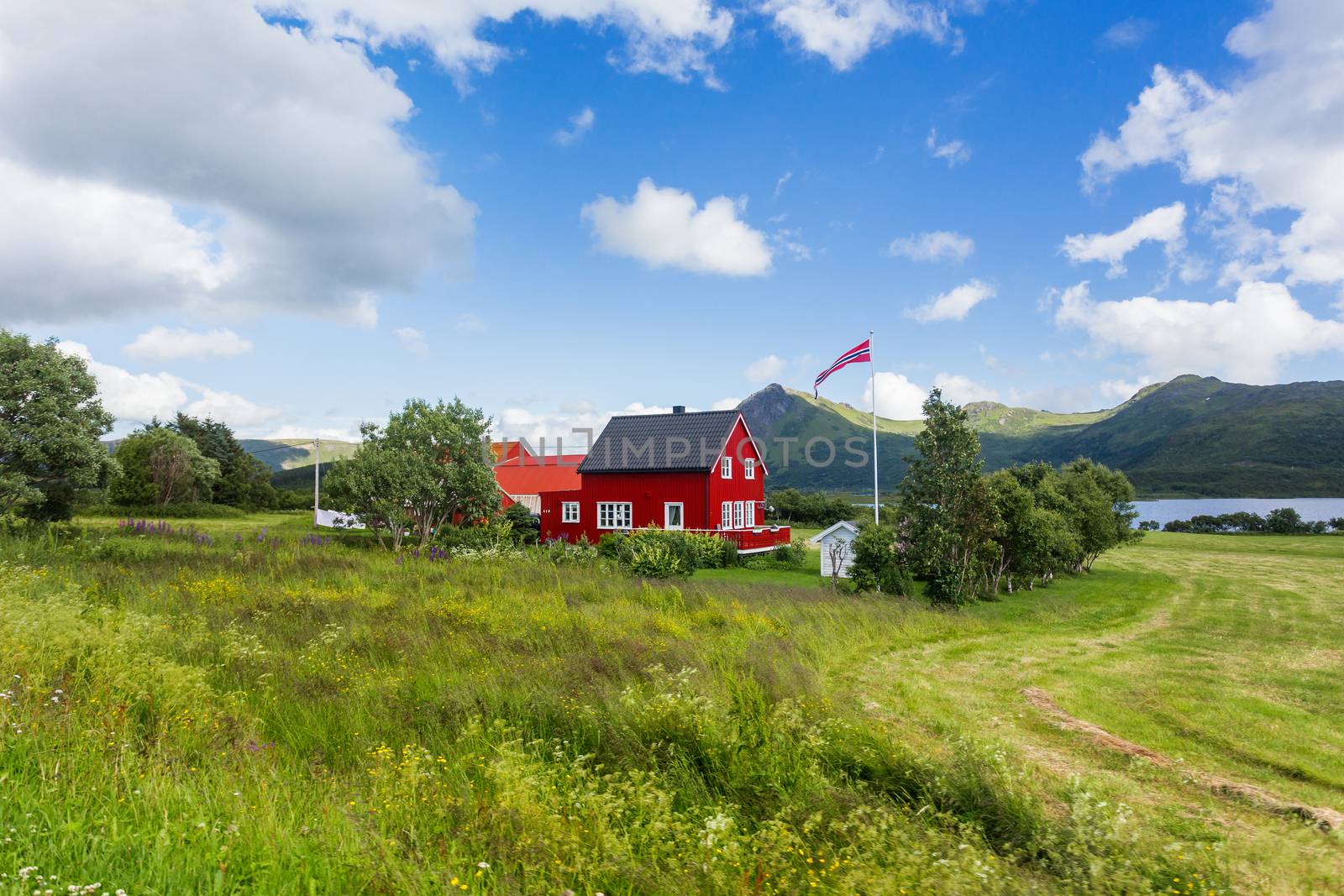 Typical scandinavian landscape with meadows, mountains and village. Lofoten islands, Norway.