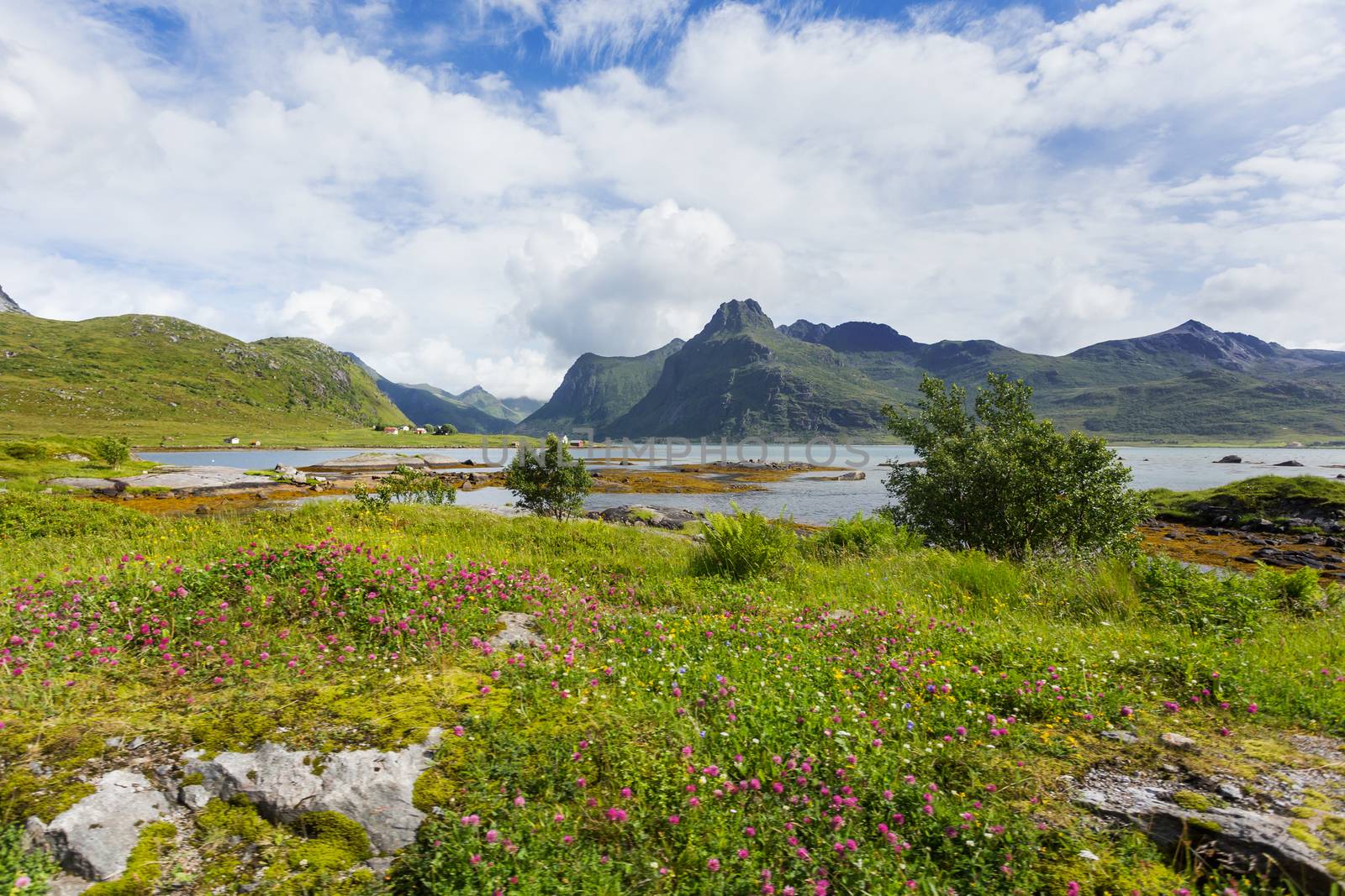Beautiful scandinavian landscape with mountains and fjords. Lofoten islands, Norway.