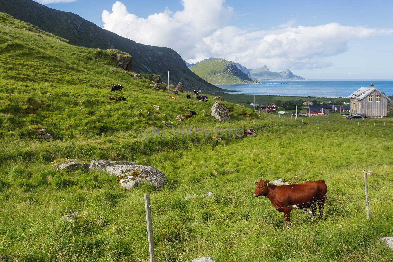Beautiful scandinavian landscape with meadows, mountains and fjords. Lofoten islands, Norway.