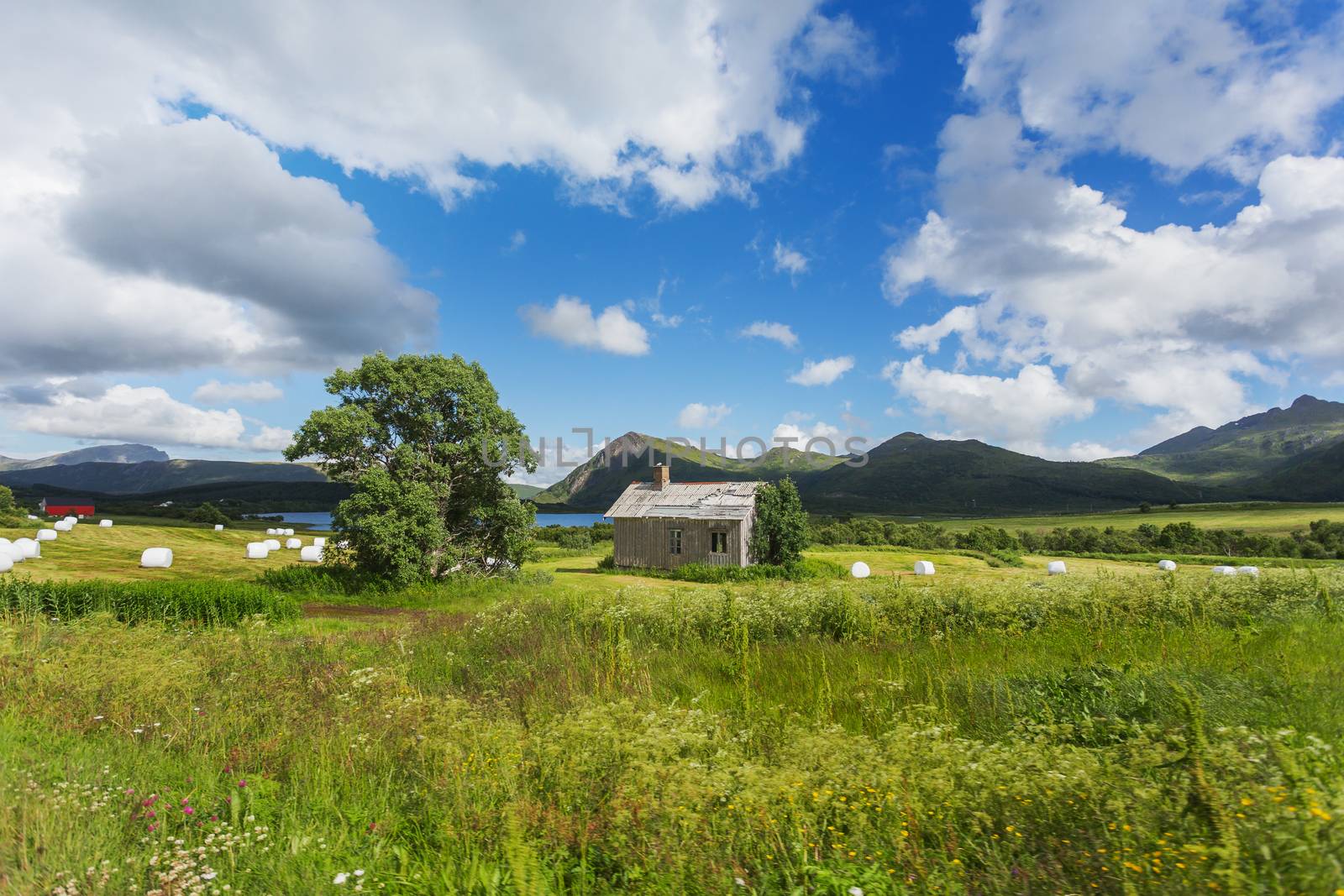 Typical scandinavian landscape with meadows, mountains and village. Lofoten islands, Norway.