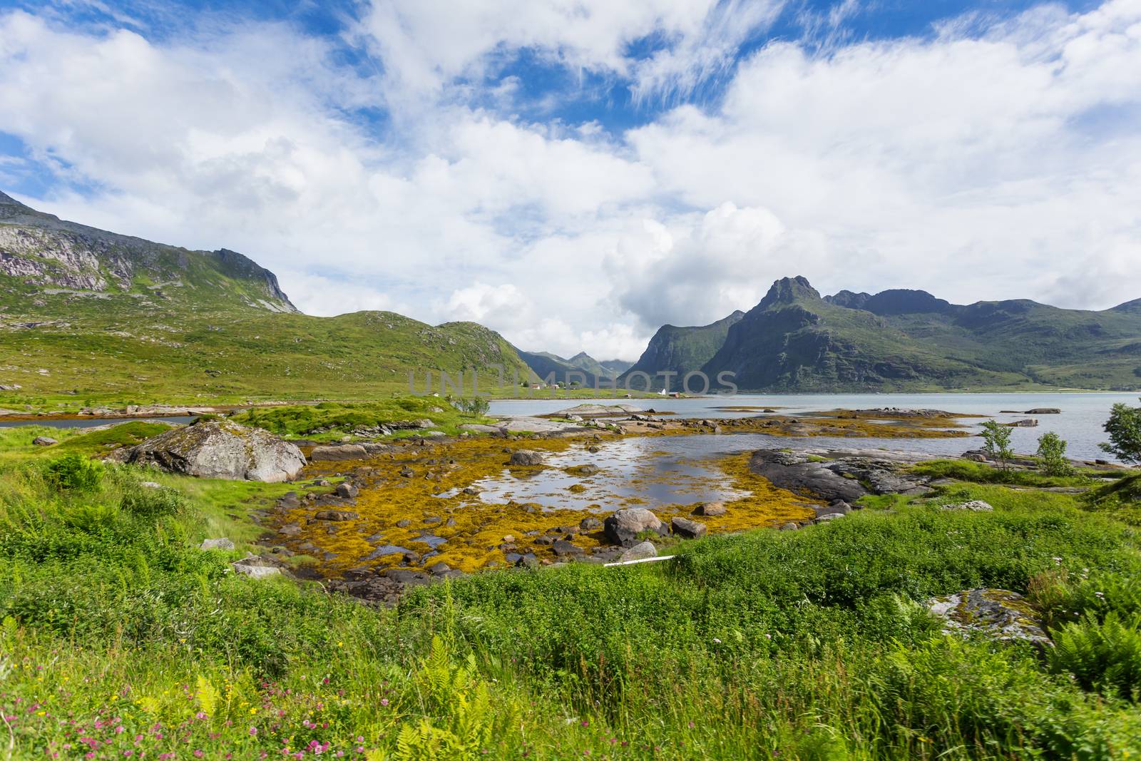 Beautiful scandinavian landscape with mountains and fjords. Lofoten islands, Norway.