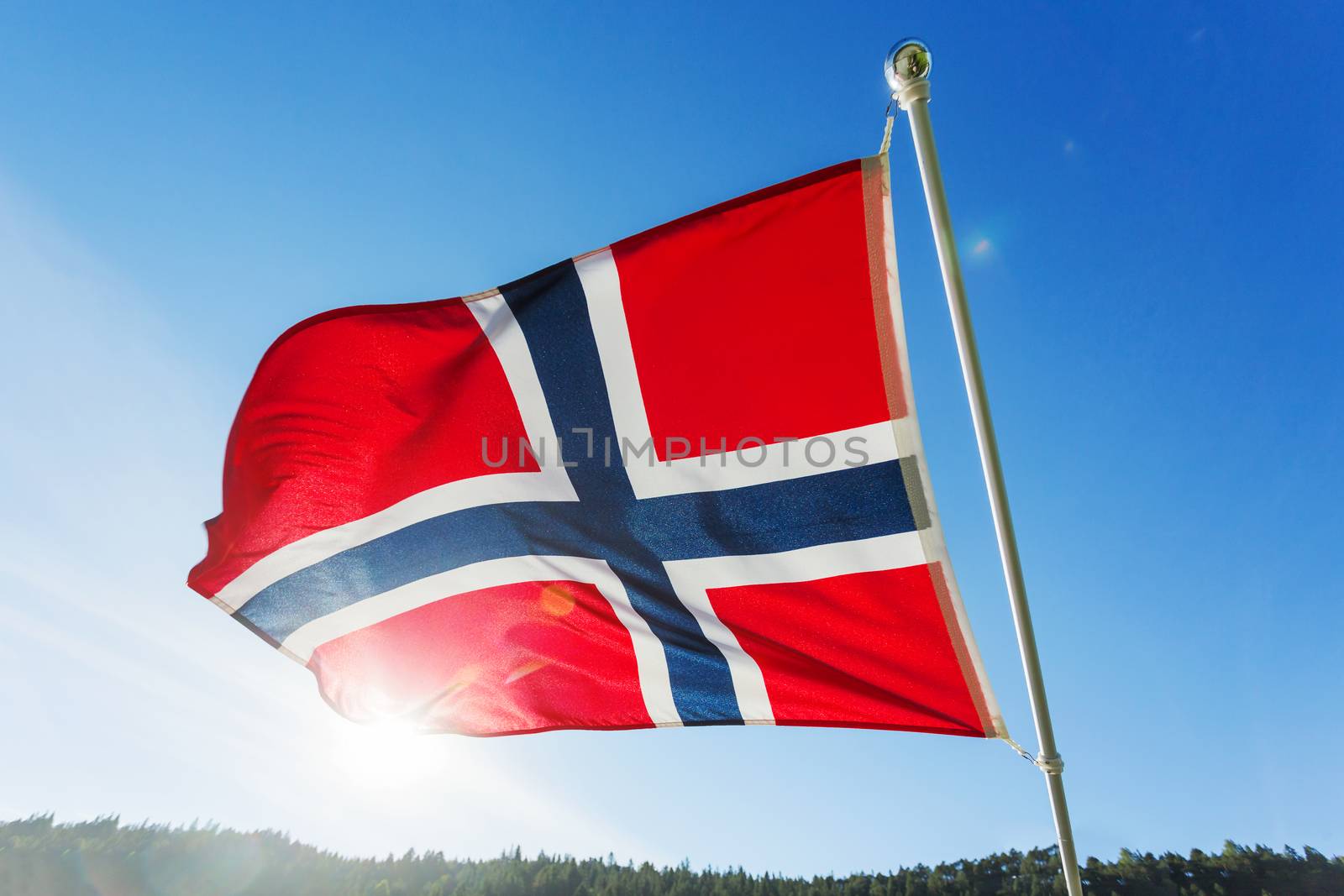 Flag of Norway waving in the wind against summer forest landscape in sunny day.