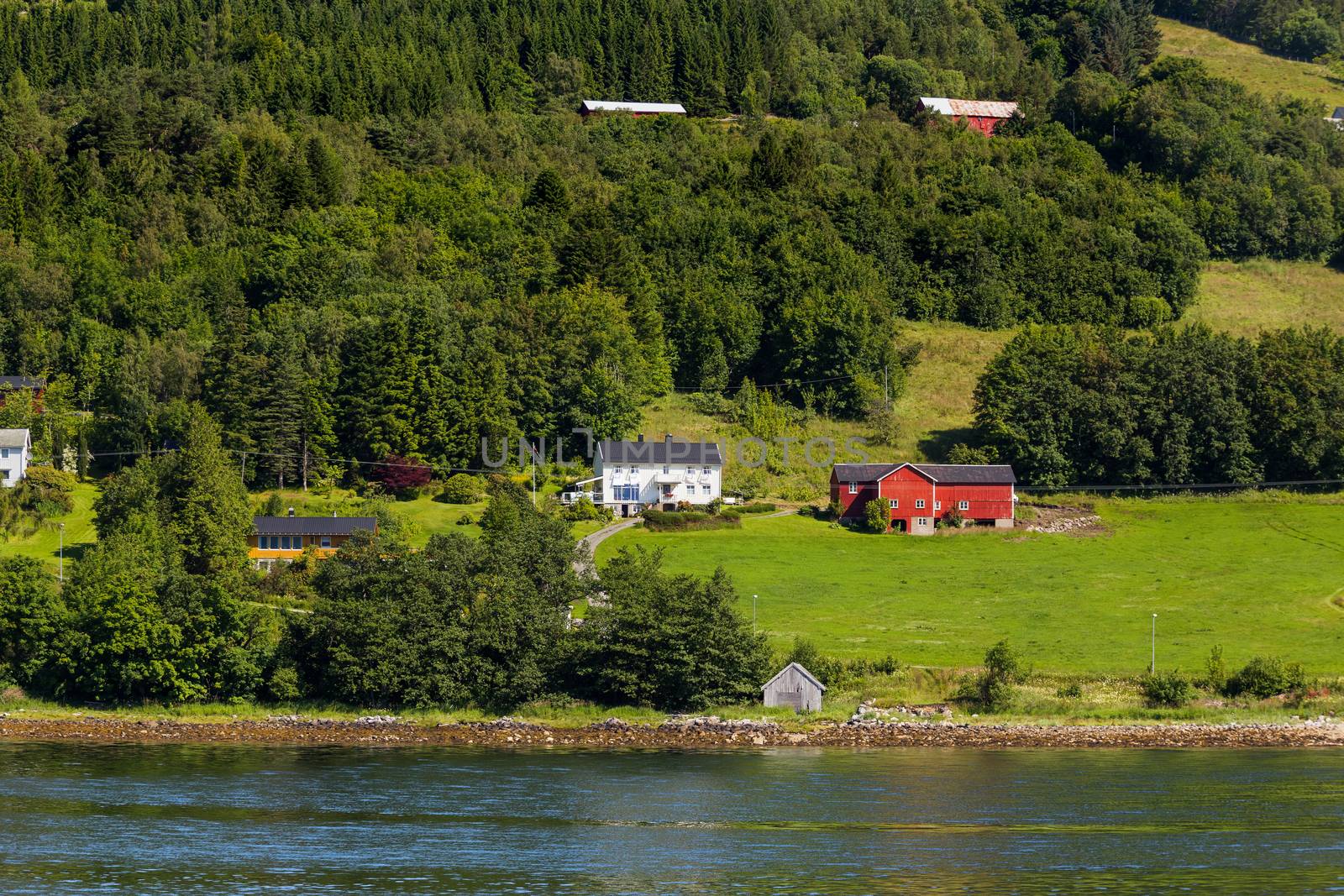 Typical scandinavian landscape with meadows and village. Houses with red walls and roofs. Norway.