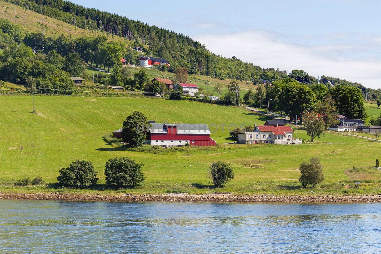 Typical scandinavian landscape with meadows and village. Houses with red walls and roofs, agricultural fields and cows. Norway.